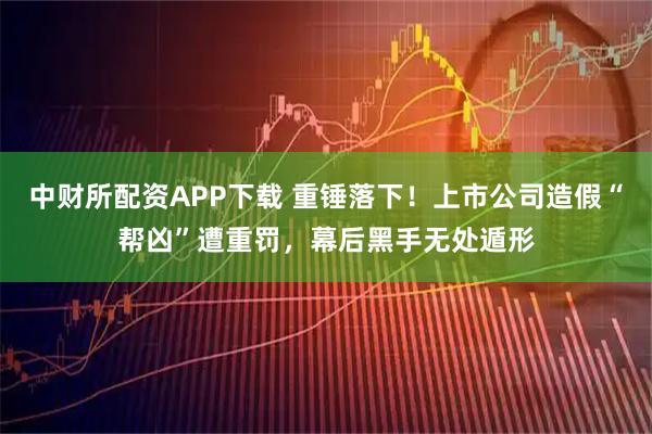 中财所配资APP下载 重锤落下！上市公司造假“帮凶”遭重罚，幕后黑手无处遁形