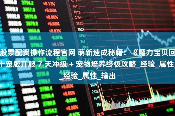 股票配资操作流程官网 萌新速成秘籍：《魔力宝贝回忆》十宠版开服 7 天冲级 + 宠物培养终极攻略_经验_属性_输出