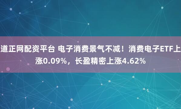 道正网配资平台 电子消费景气不减!消费电子ETF上涨0.09%,长盈精密上涨4.62%