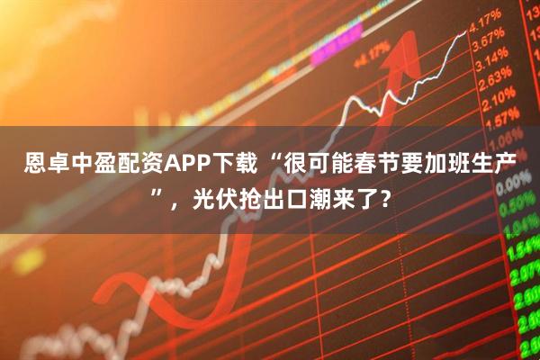 恩卓中盈配资APP下载 “很可能春节要加班生产”，光伏抢出口潮来了？